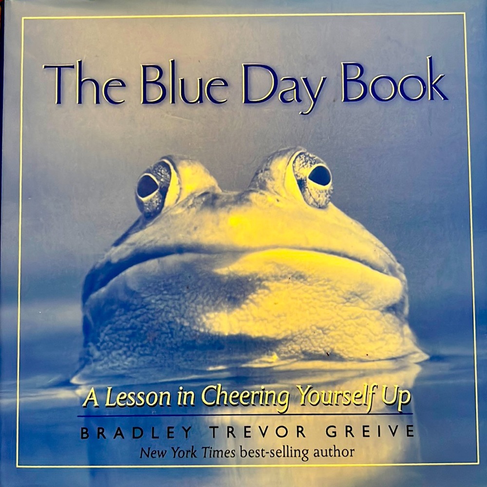 The Blue Day Book: A Lesson In Cheering Yourself Up